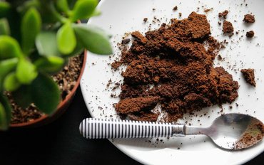 10 spôsobov ako využiť kávovú usadeninu